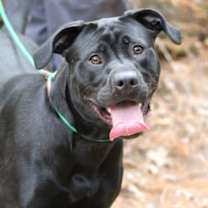 Thumbnail photo of Phanta #2