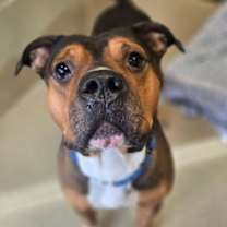 Thumbnail photo of Gangster #1