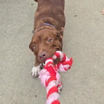 Thumbnail photo of Espresso #2