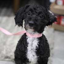 Thumbnail photo of Blaire #1