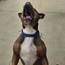 Thumbnail photo of Gangster #2