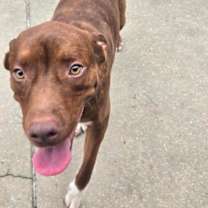 Thumbnail photo of Espresso #3