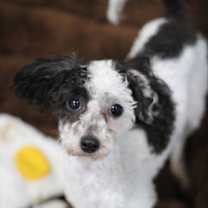 Thumbnail photo of Claire #1