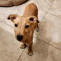 Thumbnail photo of Roco #3