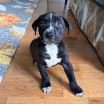 Thumbnail photo of Zen #1