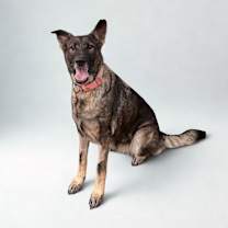 Thumbnail photo of Julie #2