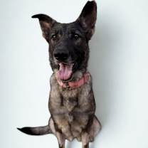 Thumbnail photo of Julie #4