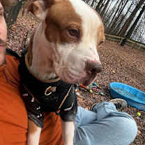 Thumbnail photo of Jimmy #1