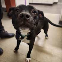 Thumbnail photo of Naomi #2