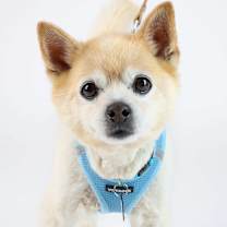 Thumbnail photo of Court 13631 #1