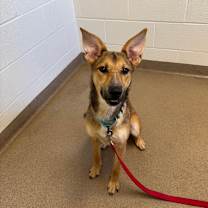 Thumbnail photo of Jan #1