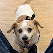 Thumbnail photo of Seth 13628 #2