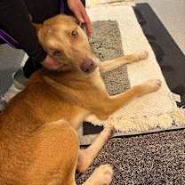 Thumbnail photo of Teddy Graham #4