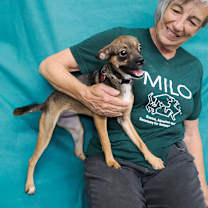 Thumbnail photo of CRYSTAL #1