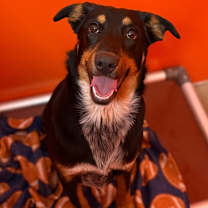 Thumbnail photo of Jewel  #3