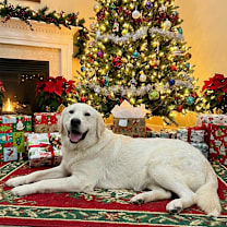 Thumbnail photo of Herman #1