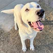 Thumbnail photo of Herman #3