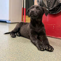 Thumbnail photo of Florence #1