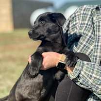 Thumbnail photo of Florence #2