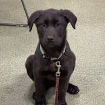 Thumbnail photo of Florence #3