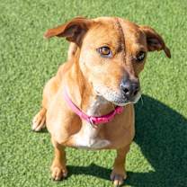 Thumbnail photo of Penny #2