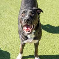 Thumbnail photo of Dude #1