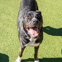 Thumbnail photo of Dude #2