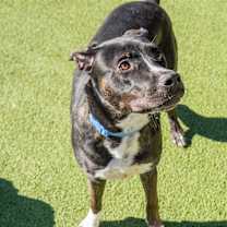 Thumbnail photo of Dude #3