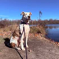 Thumbnail photo of Scout (aka Squirtalicious) #4