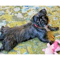 Thumbnail photo of Bonnie #2