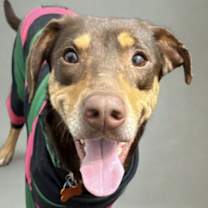 Thumbnail photo of Adalee #1