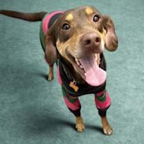 Thumbnail photo of Adalee #3