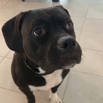 Thumbnail photo of Ivy #1