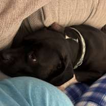 Thumbnail photo of Ivy #3