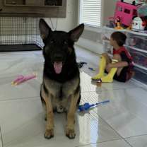 Thumbnail photo of Charlie #1