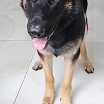 Thumbnail photo of Charlie #3