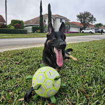 Thumbnail photo of Charlie #4