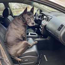 Thumbnail photo of Nufasi #2