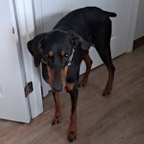 Thumbnail photo of Chloe #2