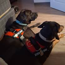 Thumbnail photo of Chloe #4