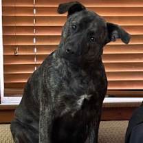 Thumbnail photo of Mindy #1