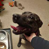 Thumbnail photo of Mindy #2