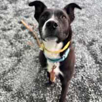 Thumbnail photo of Delaney #2