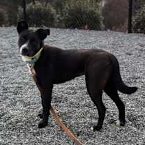 Thumbnail photo of Delaney #3