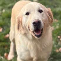 Thumbnail photo of Carol #1