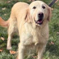 Thumbnail photo of Carol #3