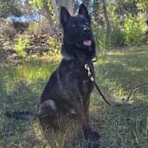 Thumbnail photo of Oggy #2