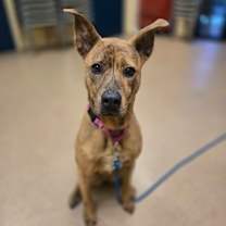 Thumbnail photo of Remi #2