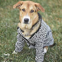 Thumbnail photo of Emily #2