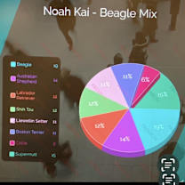 Thumbnail photo of Noah #3